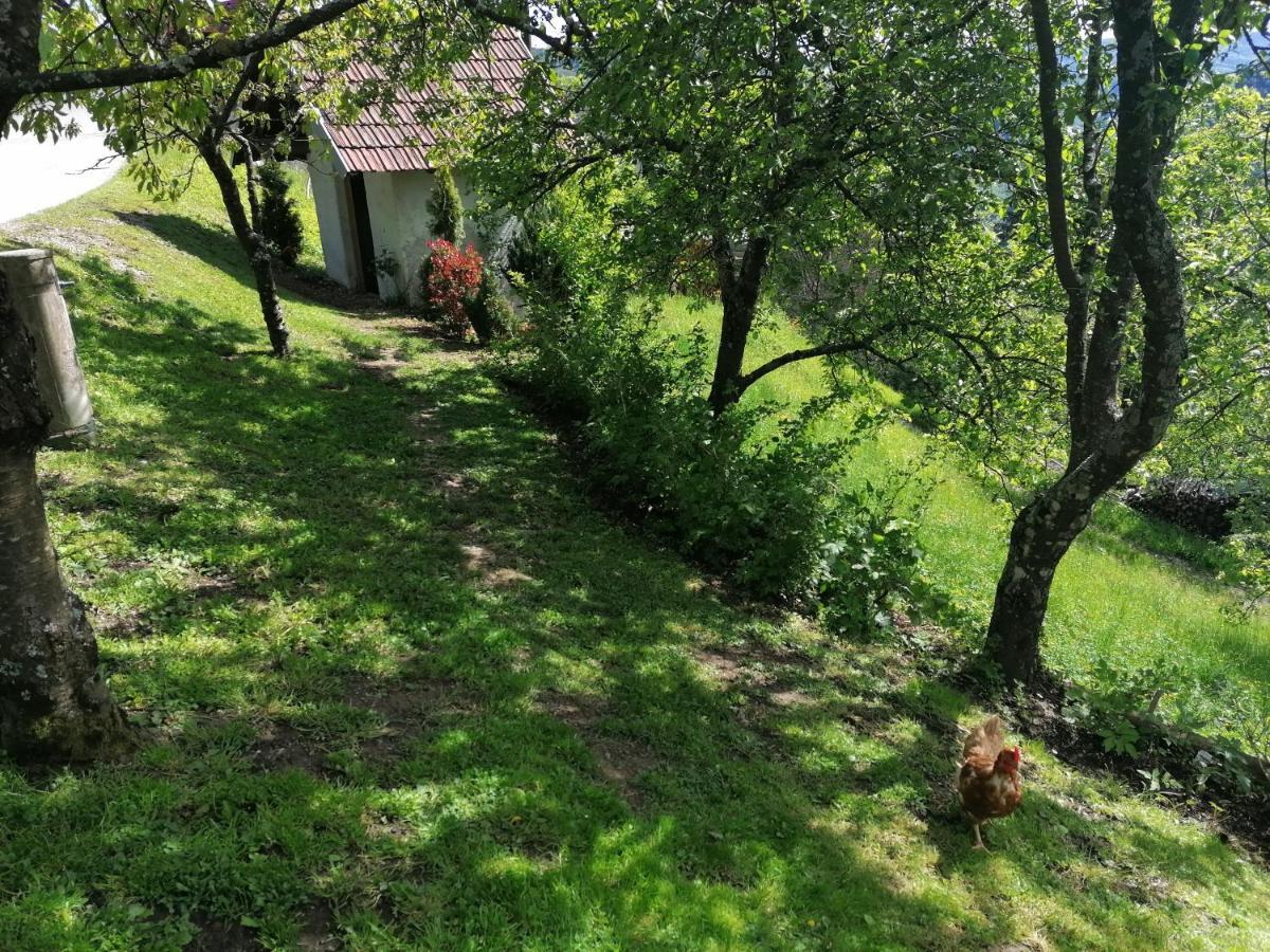 Apartma Na Ravnicah Церкно Екстер'єр фото
