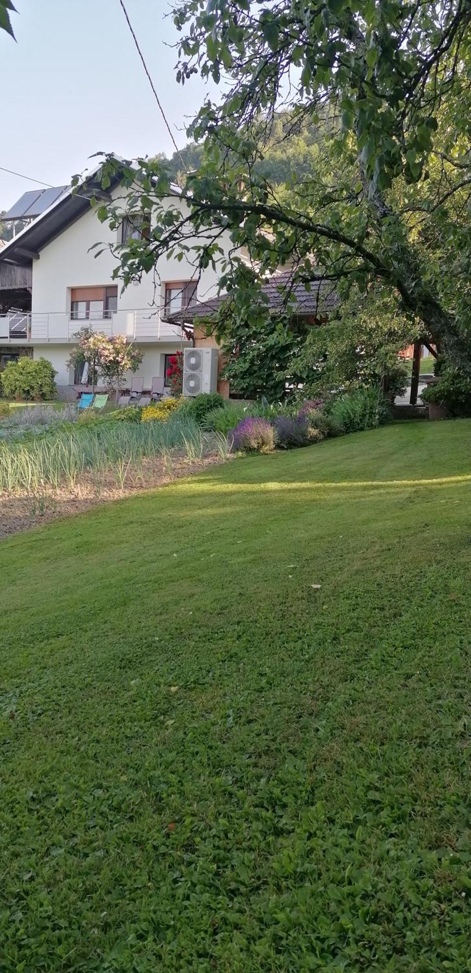 Apartma Na Ravnicah Церкно Екстер'єр фото